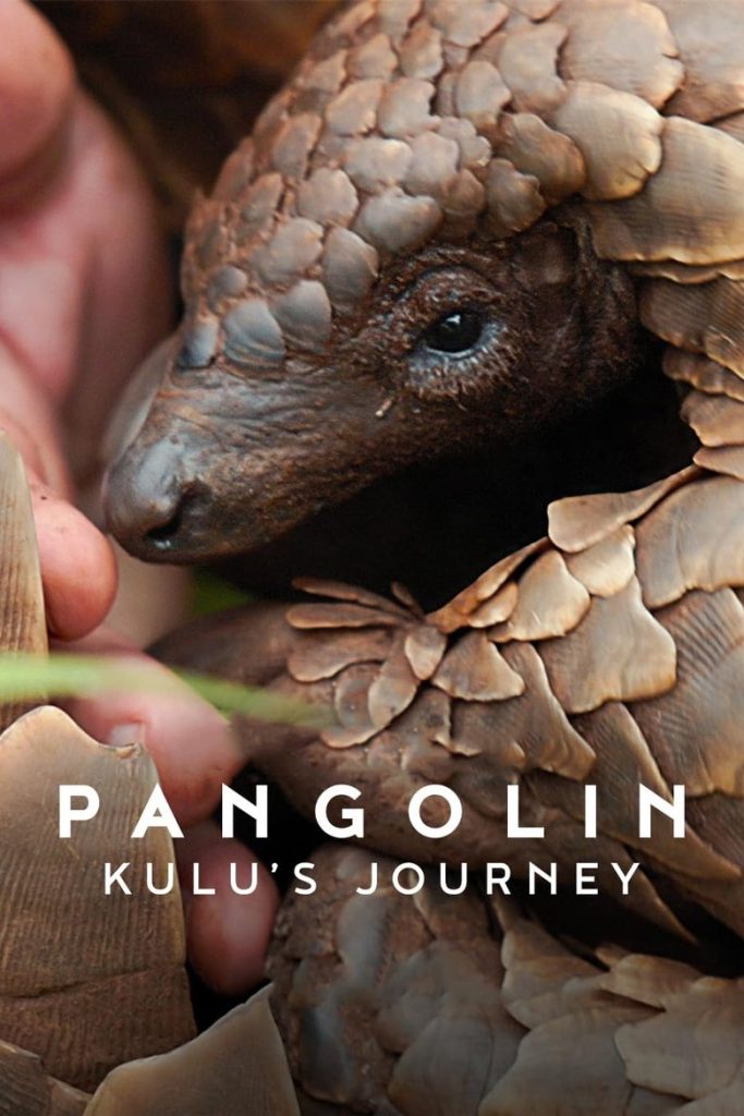 Pangolin: การเดินทางของคูลู